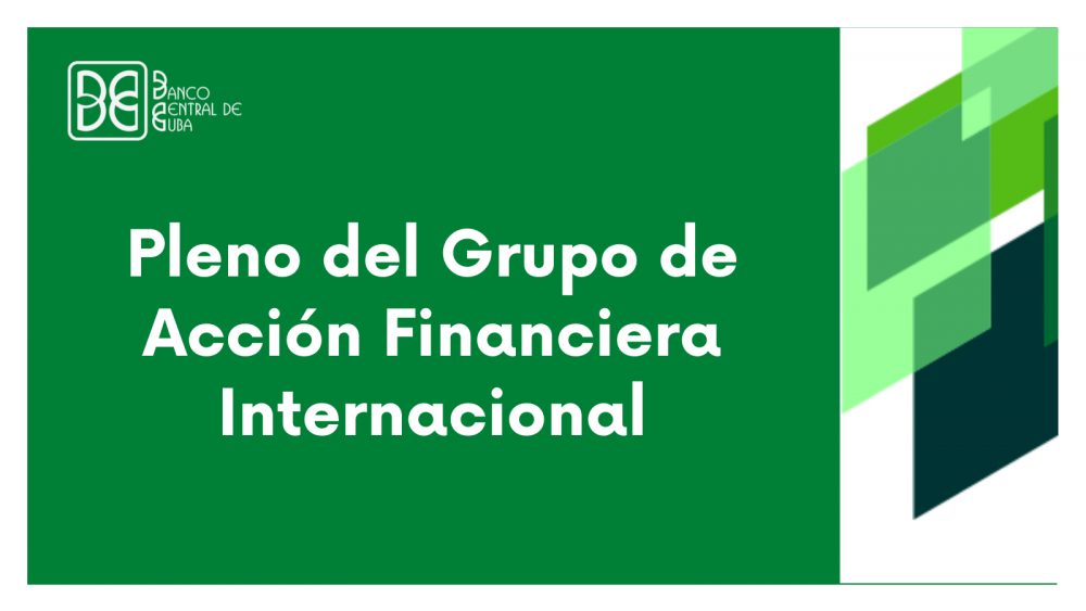 Imagen relacionada con la noticia :Pleno del grupo de acción Financiera